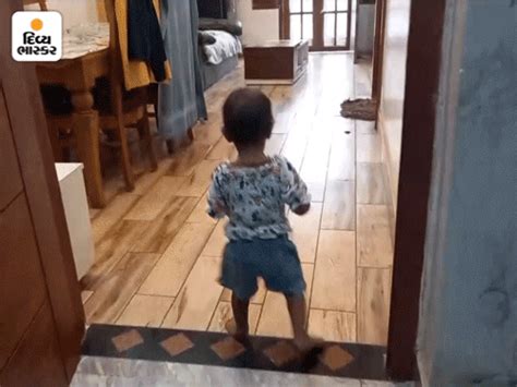 Monkeys enter house, 13-year-old girl uses common sense to drive away ...