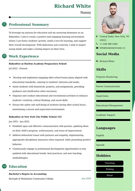 Babysitter Resume Examples India