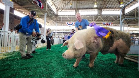 Day 1: Iowa State Fair Photo Gallery | Iowa PBS