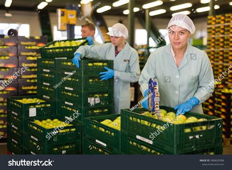 3,834 Food Manufacturing Employees Images, Stock Photos & Vectors | Shutterstock