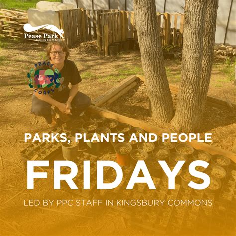 Parks, Plants and People in Kingsbury Commons — Pease Park Conservancy