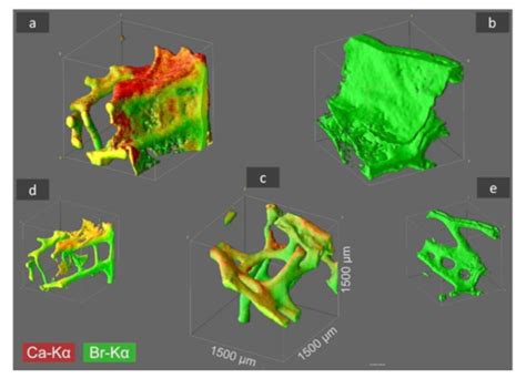 Calcite Nanotuned Chitinous Skeletons of Giant Ianthella basta Marine ...