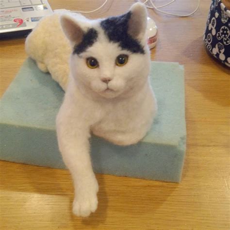 Woolen Thread Animals 的图像结果