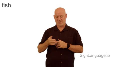 Image result for Sign Language Fish