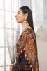 Rang Pasand Lawn Collection Vol-2 – RP2101A6 – YourLibaas