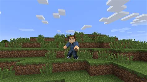 Animation Player Mod Minecraft Java 的图像结果