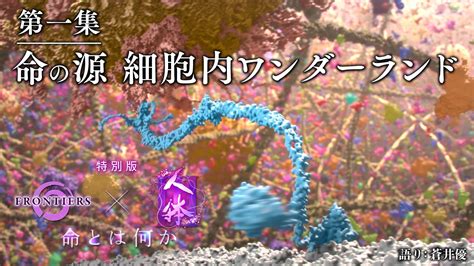 人体 特別版 第一集 命の源 細胞内ワンダーランド | フロンティア | NHK