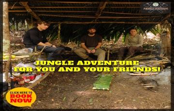 Memorable 7 Days 6 Nights Bandhavgarh Colony with Tala Holiday Package ...