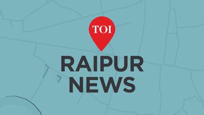 Elephant calf drowns in Raigarh pond | Raipur News - The Times of India