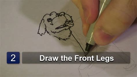 How to Draw a Realistic Labrador 的图像结果