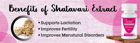 Buy Wellness Groove Shatavari (Asparagus Racemosa) Extract Capsules ...