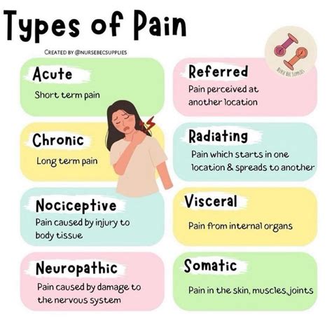 Pin by Jamie Thompson on the body in 2025 | Nursing student tips ...