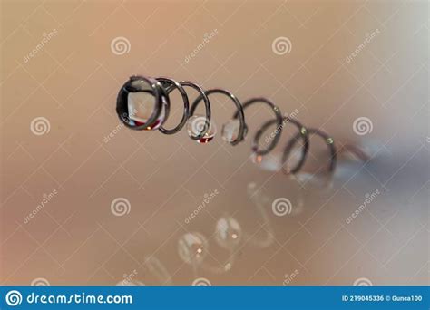 Image result for Water Reflection Spring