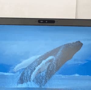 Image result for Laptop Camera Hack