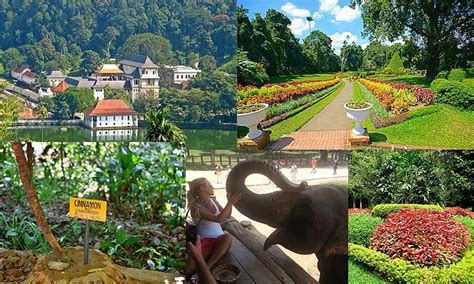 B SUPER TOURS (2026) All You Need to Know BEFORE You Go (with Photos ...