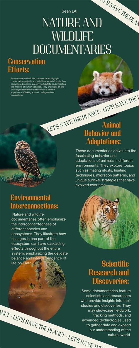 Wild Nature 的图像结果