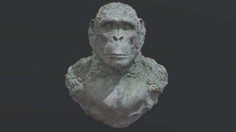 Image result for Australopithecus Simulation