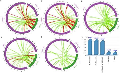 A Comparative Genomics Approach for Analysis of Complete Mitogenomes of ...