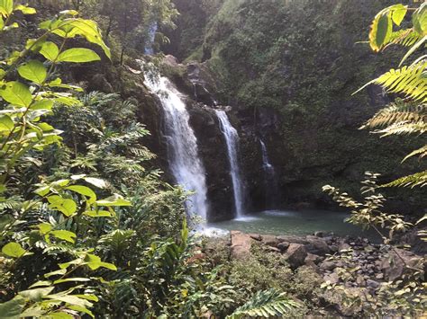 DYNAMIC TOUR MAUI (2026) All You Need to Know BEFORE You Go (with ...