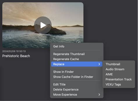 Manage imported media in Apple Immersive Video Utility - Apple Support (IN)