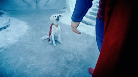 How James Gunn Modeled Superman’s Dog Krypto After His Own Pet - The ...