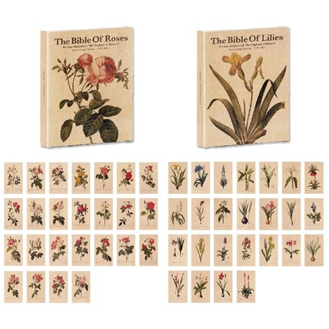 Buy STARMOO Wall Collage Kit Aesthetic Pictures, Room Decor Aesthetic ...