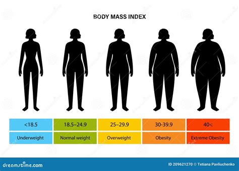 Body mass index woman stock vector. Illustration of body - 209621270
