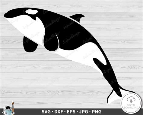 Killer Whale Silhouette Killer Whale Silhouettes Vector Art & Graphics