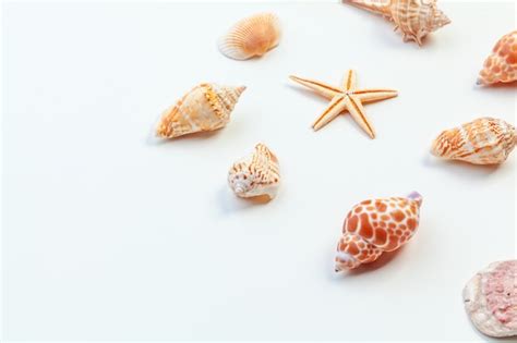Image result for Isolated Shells