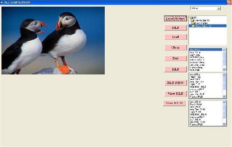 Image result for Employee Form Visual Basic