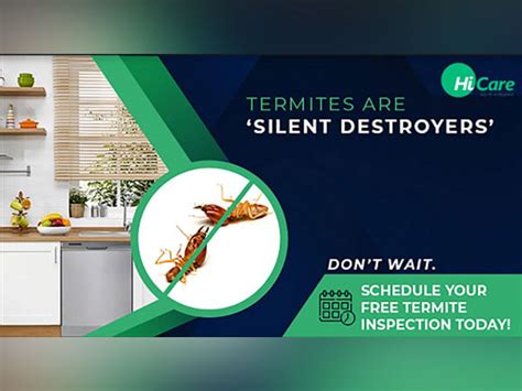 Protect your furniture from Predacious Termites with HiCare's Termite ...