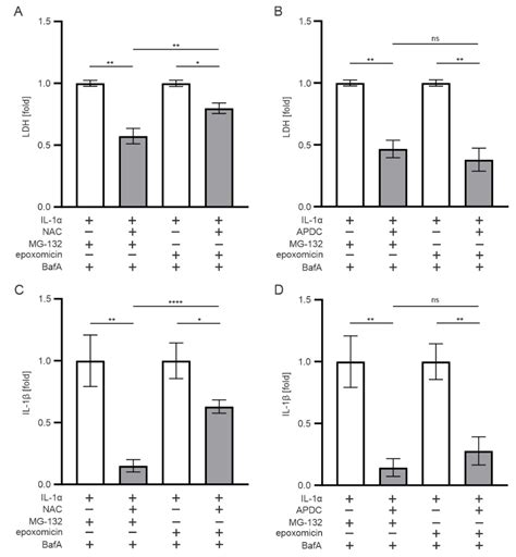 Epoxomicin, a Selective Proteasome Inhibitor, Activates AIM2 ...