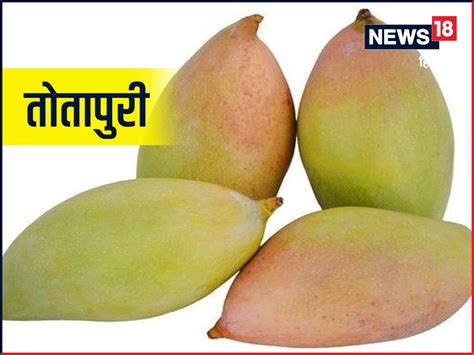 Image result for Mango Types Mango Varieties