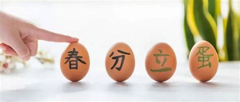 科学解释春分竖蛋，鸡蛋在任何一天都能竖起来(无聊理论)_探秘志
