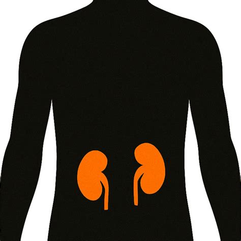 Basic Metabolic Panel Test | Ulta Lab Tests