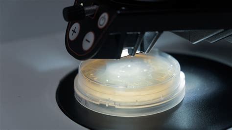 Bio Laboratory 的图像结果