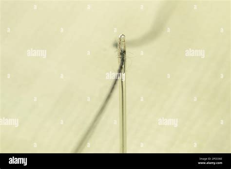 Image result for Needle Thread