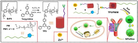 Nano-Theranostics Constructed from Terpyridine-Modified Pillar [5]arene ...