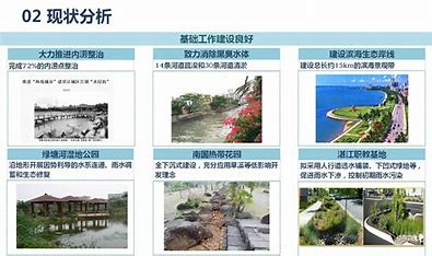 湛江免费网站建站 的图像结果