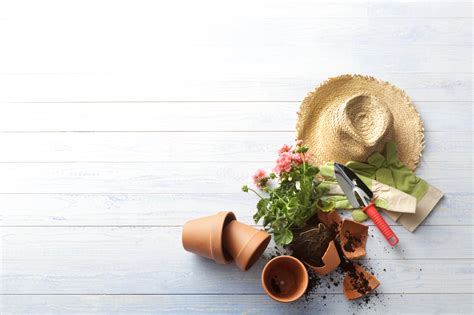 Image result for Spring Dereting