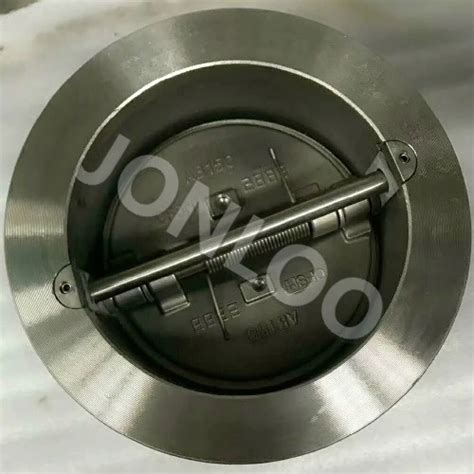 Image result for Wafer Type Spring Loaded Check Valve