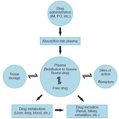 Tissue Distribution 的图像结果
