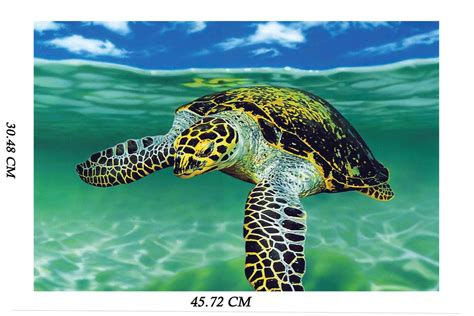 Buy Yellow Alley? Vastu Fenf Shui Tortoise Poster|Turtle Tortoise Under ...