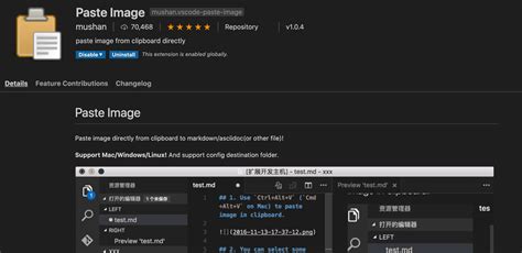 Image result for How to Insert Images On Any File Is vs Code