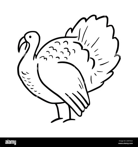 Turkey Bird Drawing High Resolution Stock Photography and Images - Alamy