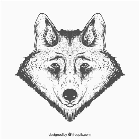 Page 75 | Wolf gamer avatar Images - Free Download on Freepik