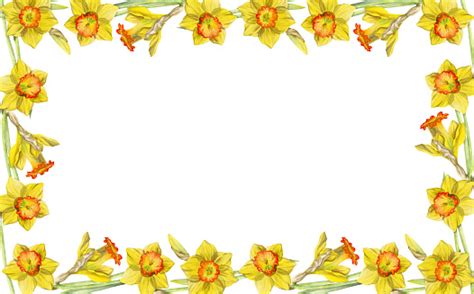 Image result for First Conditional Pattern
