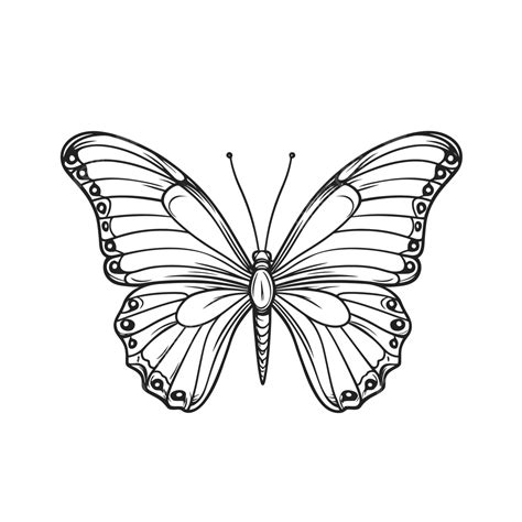 Butterfly Drawing Outline Printable