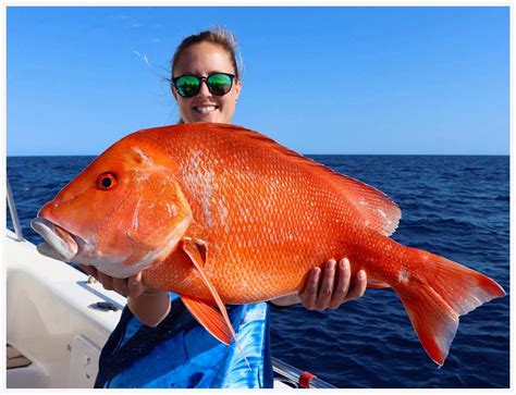 EVOLUTION FISHING CHARTERS (2025) All You Need to Know BEFORE You Go ...