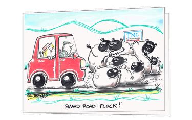 Bad Road Flock TMC Greetings Card with Luxury Envelope